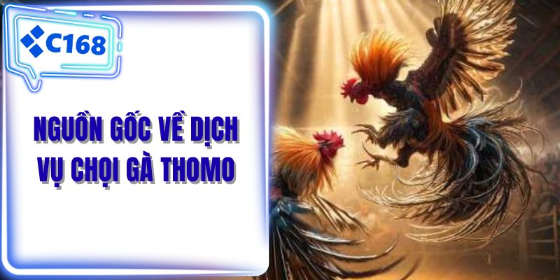 Nguồn gốc về dịch vụ chọi gà thomo
